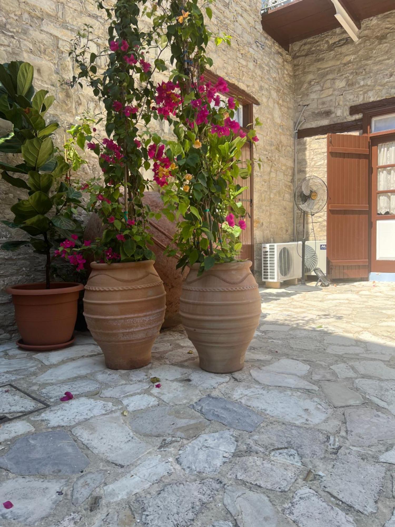 Villa Theodorou Lefkara Εξωτερικό φωτογραφία